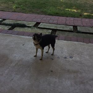 Meet your Posher, Maria